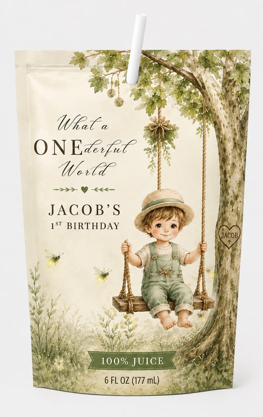 What a ONEderful World Juice Pouches -set of 6
